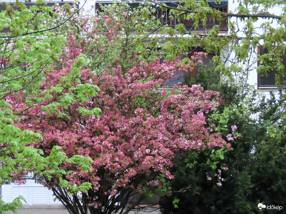 Borús időben is üdítő látvány