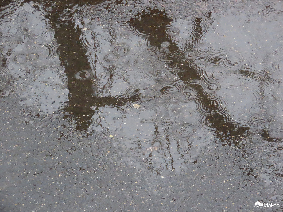 A ködös reggel után eső érkezett