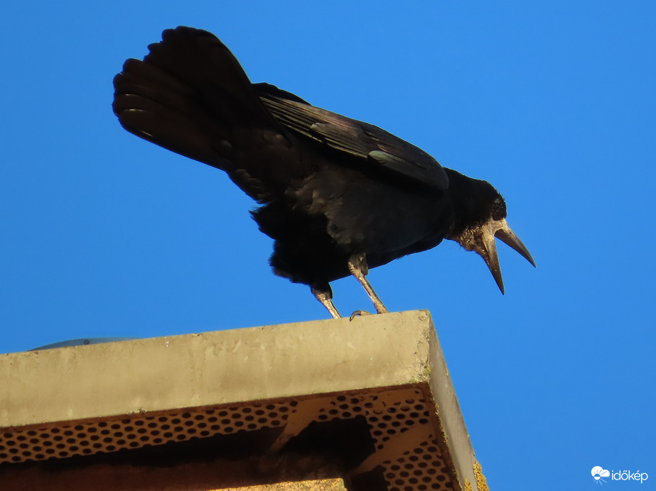 Lakótelepi ébresztő