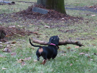 Nem adom senkinek, elfutok vele!