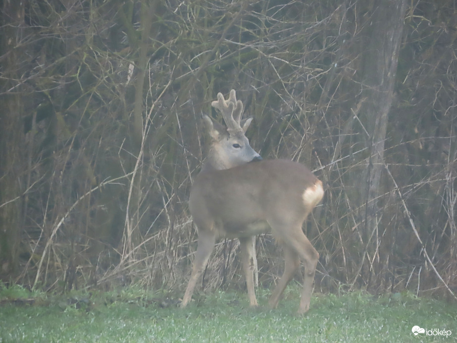 Észrevett bennünket