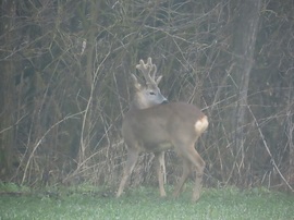 Észrevett bennünket