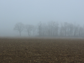 Mindenütt köd, amerre jártunk