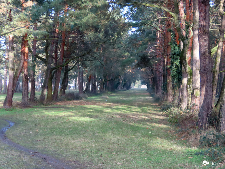 Végre láttam árnyékokat