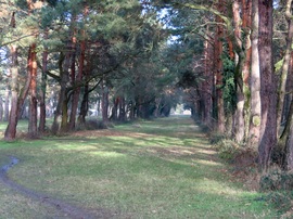 Végre láttam árnyékokat