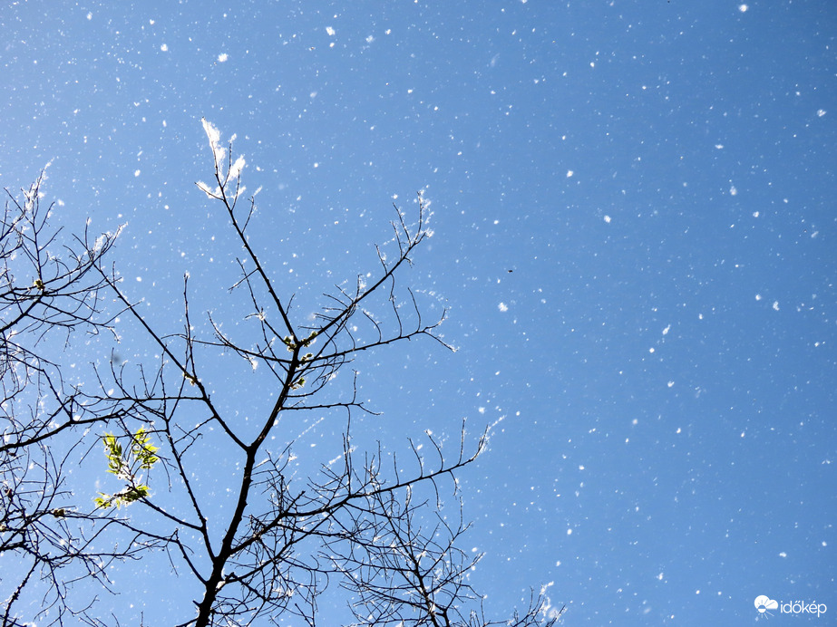 "Havazás" tavasszal