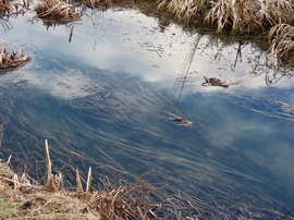 Az ég kékje a patak vizében