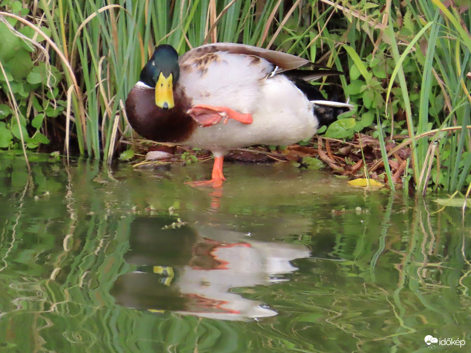 Egy kis torna sosem árt!