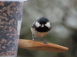 Szemből is megnézhetsz!