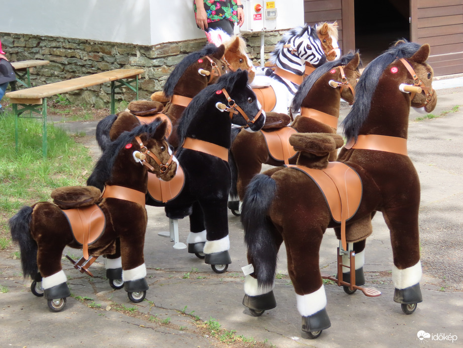 Húsvéthétfő a Falumúzeumban: lovarda kicsiknek