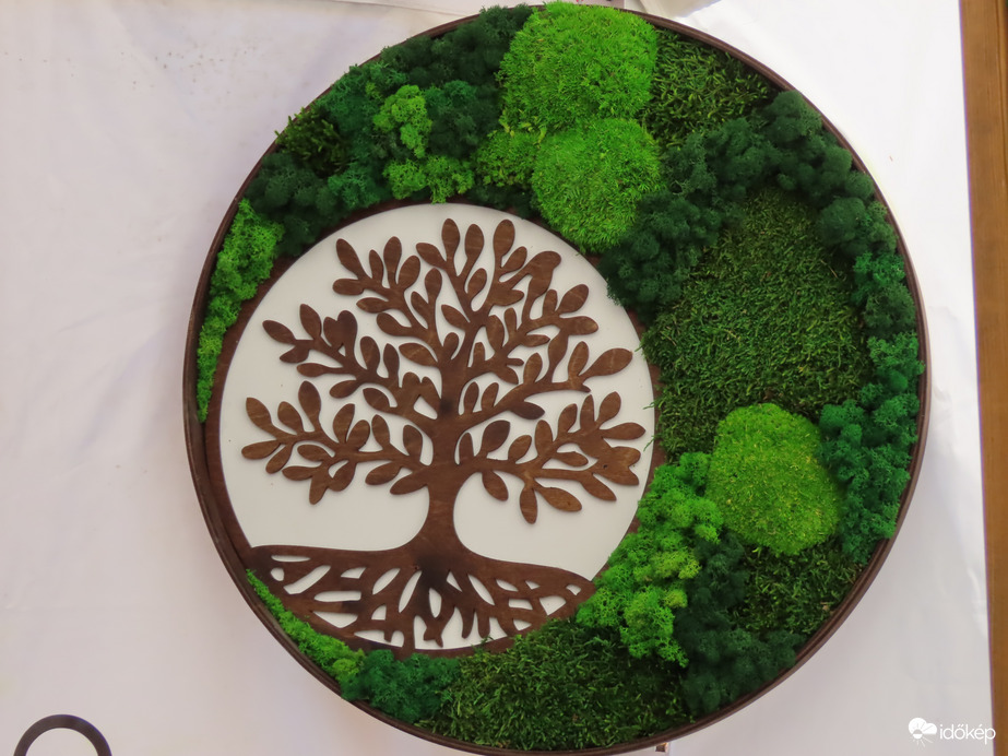 Herényi Virágút képekben