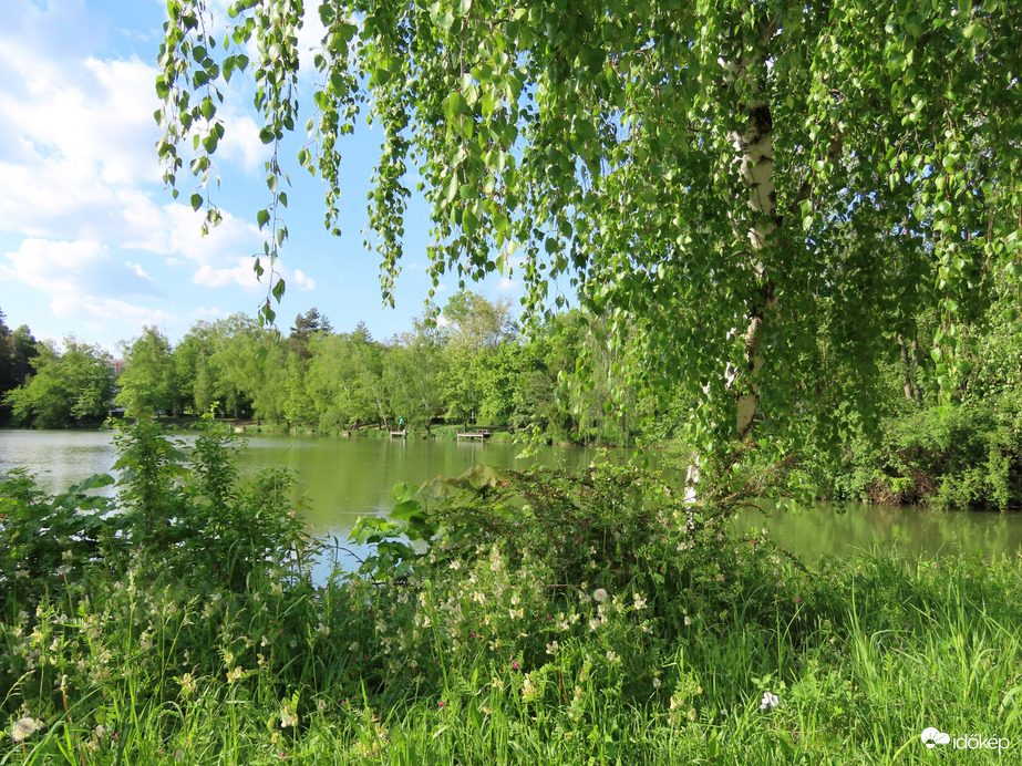 A Horgásztó partján