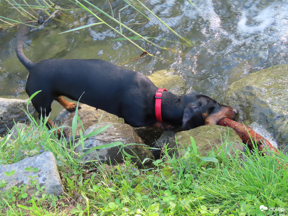 Sikerült elcsípnem!