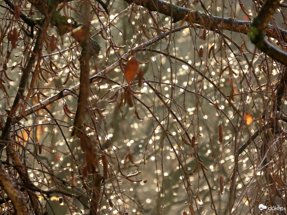 Milliónyi esőcsepp a fényben