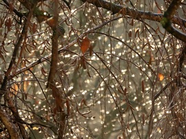 Milliónyi esőcsepp a fényben