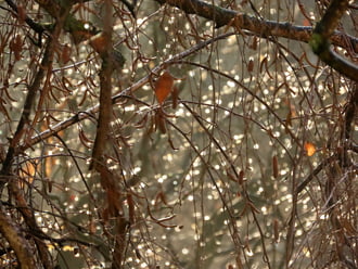 Milliónyi esőcsepp a fényben