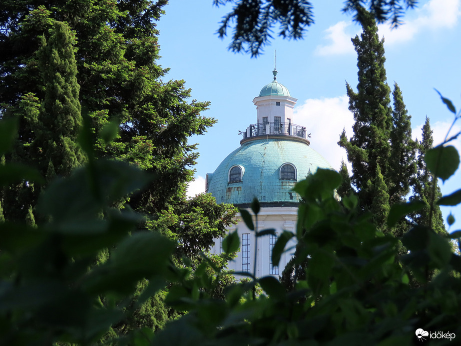 Fák közül kukucskáló Víztorony