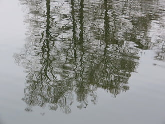 Szellő borzolta víztükör