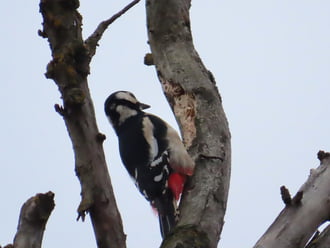 Késő délután is sok a munka!