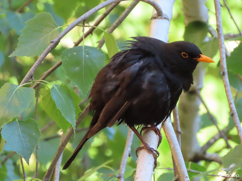 Látod? Most fürödtem!