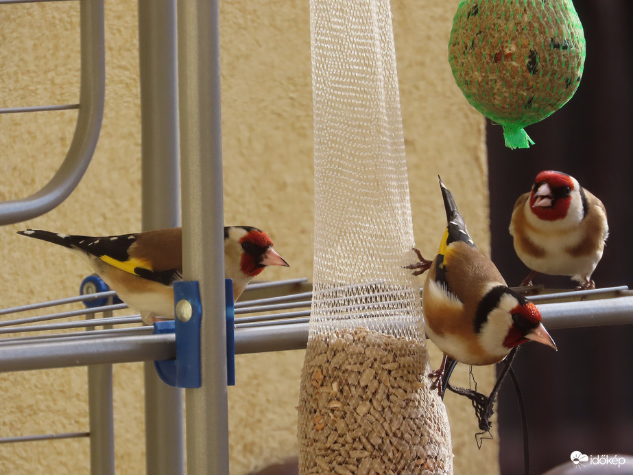 Inkább együnk és ne veszekedjünk!