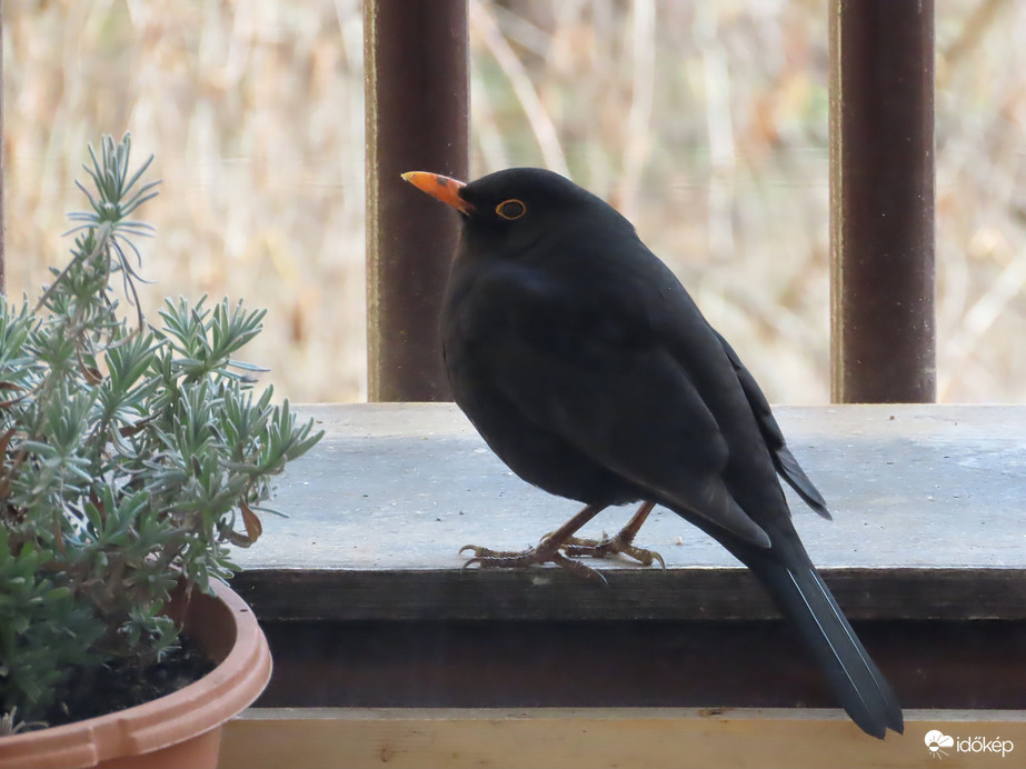 Pihenő a kedvenc helyemen