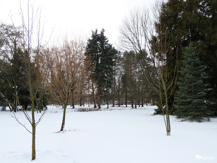 Nyugalom a tó szigetén