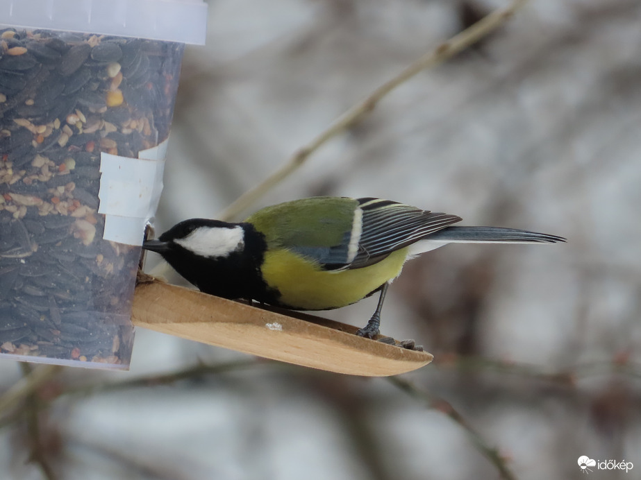 Melyiket csípjem meg?