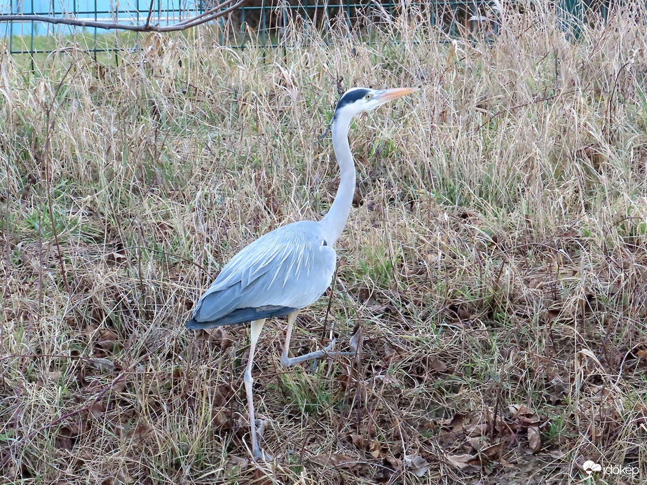 Sietek fel a patakpart tetejére!