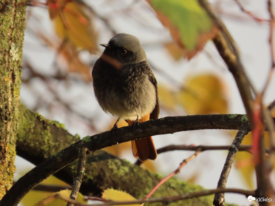 Maradjak, vagy költözzek?