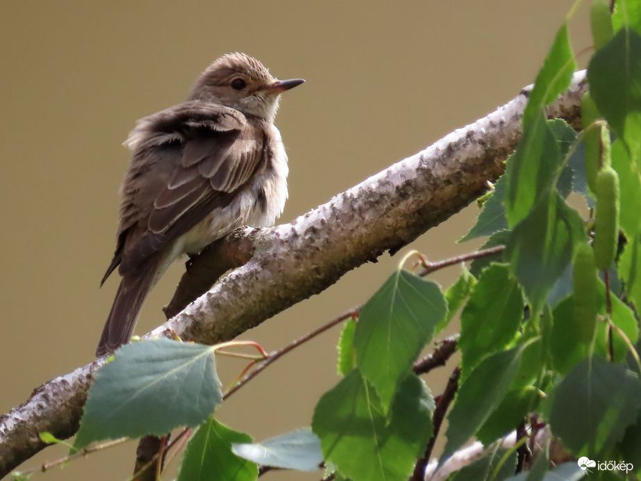 Kellemes ez a kis szellő!