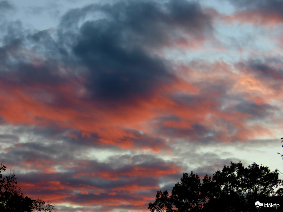 Hazafelé felnéztem az égre