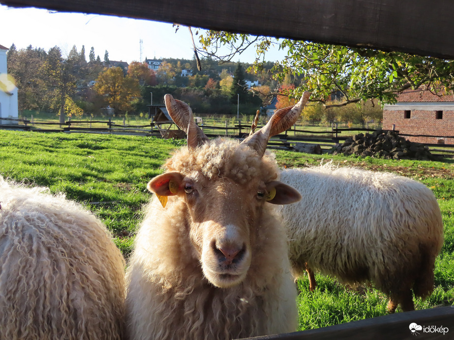 Ugye, engem is lefotózol?