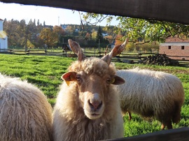 Ugye, engem is lefotózol?