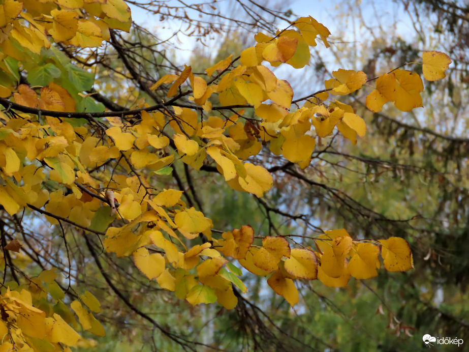 Felhős időben is világítanak