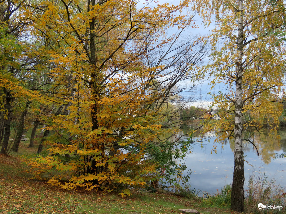 A Horgásztó partja