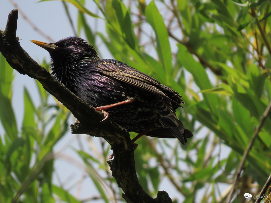 Jól meg kell kapaszkodnom!