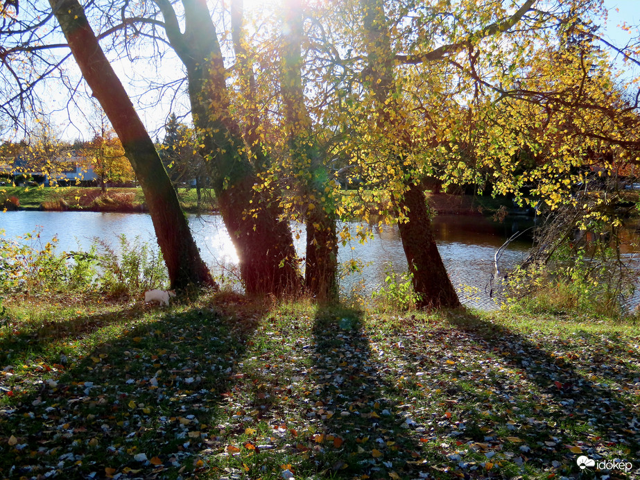 Keresd a "vadászt"!
