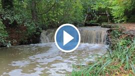 Őszi délután a Kámoni Arborétumban