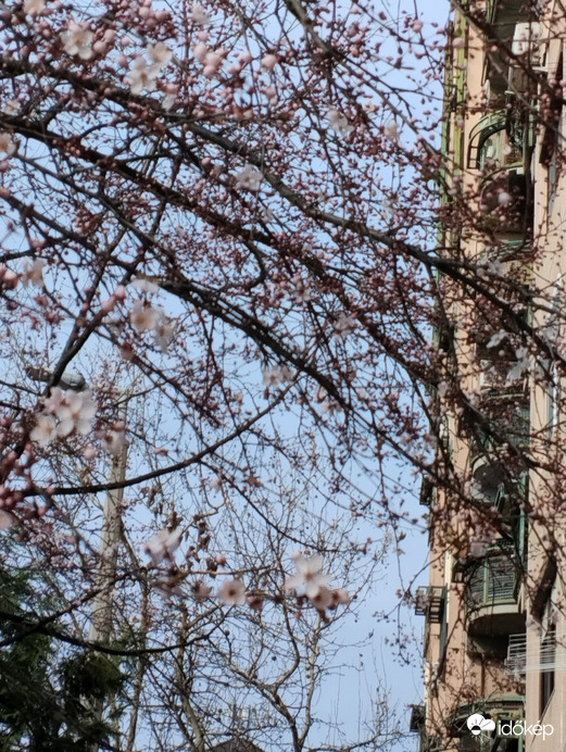 Budapest IV.ker - Káposztásmegyer