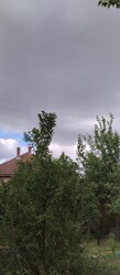 Aszaló
