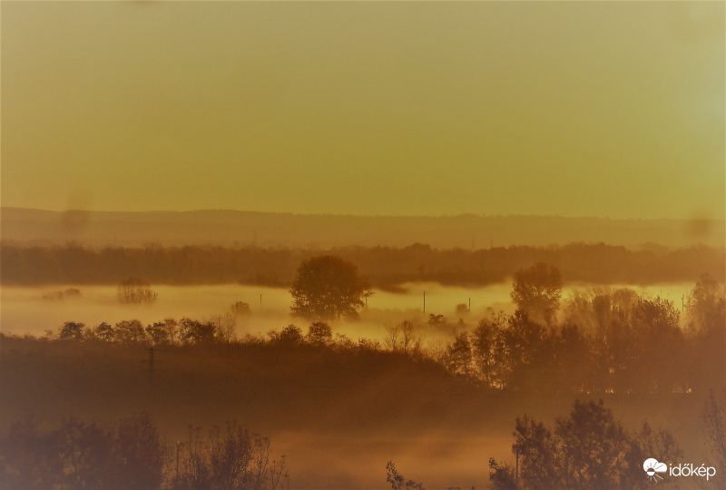 Szűrű