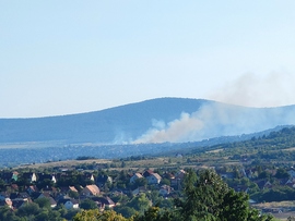 Tűz Pomáztól délre.