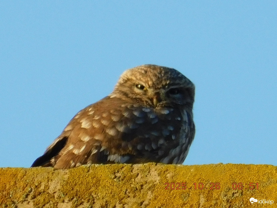 Még egy kicsit álmos vagyok.