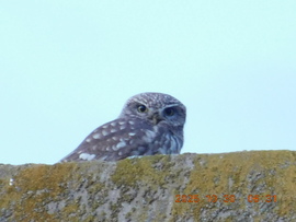 Ez az idő már kedvemre való