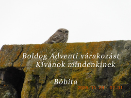 Már én is készülök az Advent első naojára. Kedves szomszédom, neked is kellemes Adventi várakozást.