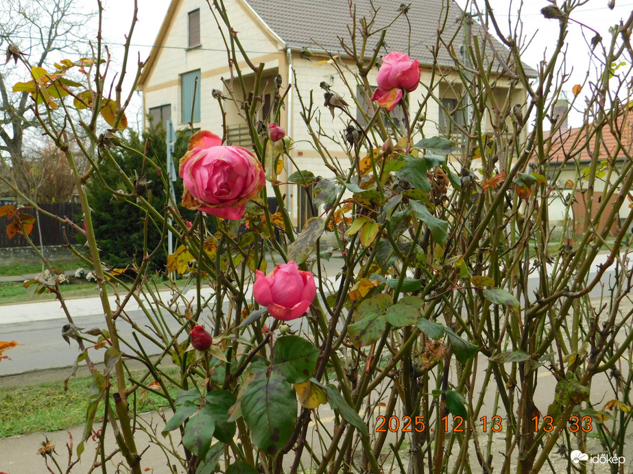 Feldebrő, Kossuth u. Mi még összetartunk.