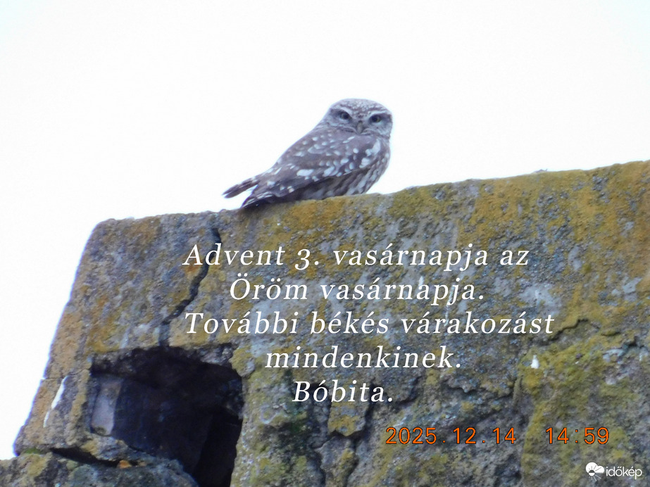 Advent 3. vasárnapja, az öröm vasárnapja. Mindenkinek további békés várakozást kívánok Feldebrőröl, Bóbita