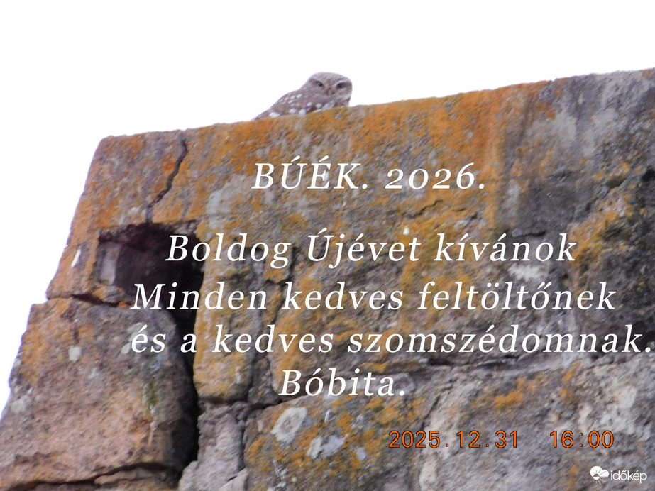 BÚÉK. 2026.