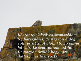 Bóbita már nem fázik.